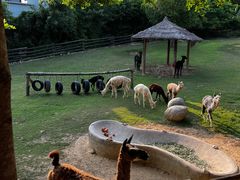 -泉州海丝野生动物世界