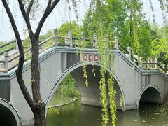 -尚贤河湿地
