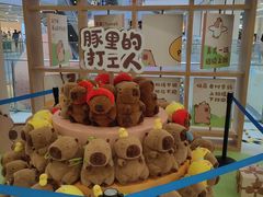 -凯德MALL(西直门店)