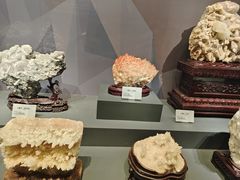 -湖南省地质博物馆