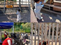 -水上乐园·欢乐世界