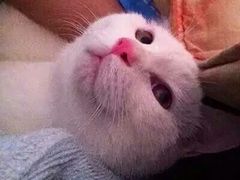 -新碧水留香新桑拿