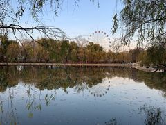 -二一九公园