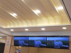 -蝎王府羊蝎子(北大地店)