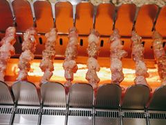 -丰茂烤串(卫星广场店)