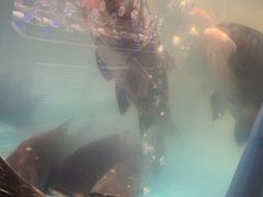 -鸽子侯·家宴·平价海鲜(市图书馆店)
