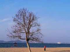 -青岛第二海水浴场