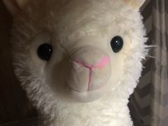 -1点点(河南中路店)