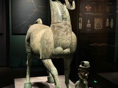 -广西壮族自治区博物馆