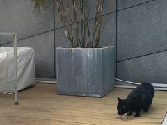 -UNIUNI(凯瑟琳广场店)