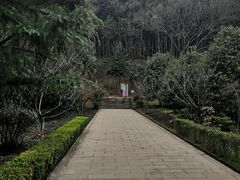 -上海佘山国家森林公园天马山园