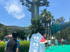 -苏州乐园森林水世界