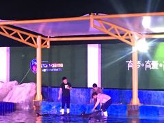 -三亚海昌梦幻海洋不夜城