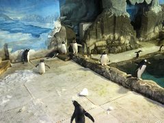 -成都浩海立方海洋公园