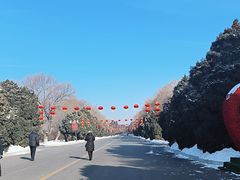 -北陵公园