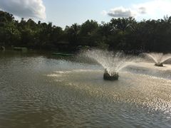 -呀诺达热带雨林