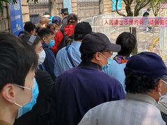 -嘉定紫藤园