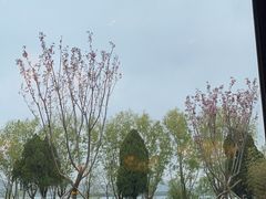 -威海天沐温泉度假区