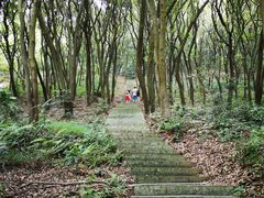 -广州市帽峰山景区