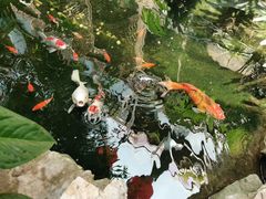 -聚缘堂·海鲜私房菜(松岭路店)