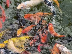 -吴作人艺术馆