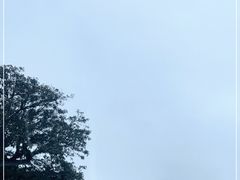 -福建泉州仙公山风景名胜区