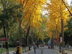 -山东大学(趵突泉校区)