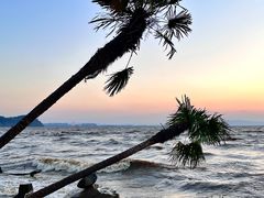 -捞渔河湿地公园