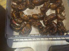 -鸽子窝(黄村店)