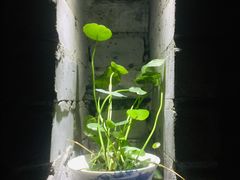 -鱼桥巷·美学川菜