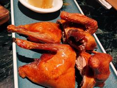 红烧乳鸽-大鸽饭(北京路店)