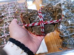-盒马鲜生(财富领域店)
