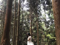 -山王坪喀斯特国家生态公园