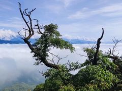 -青城山