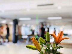 -中田·健身+普拉提(北京通州运河店)