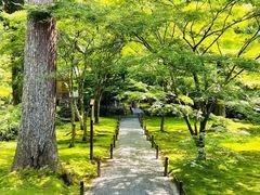 -三千院