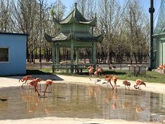 -秦皇岛野生动物园