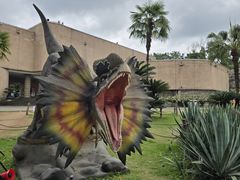 -自贡恐龙博物馆