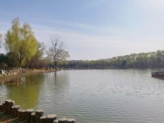 -大兴滨河森林公园