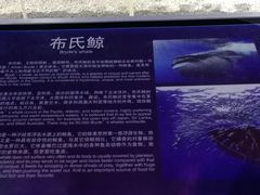 -福州罗源湾海洋世界旅游区