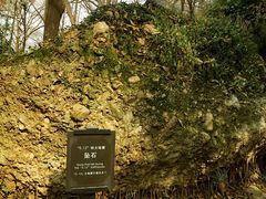 -窦圌山风景区
