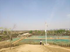 -汉长安城未央宫国家考古遗址公园