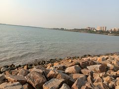 -宝安西湾红树林湿地公园