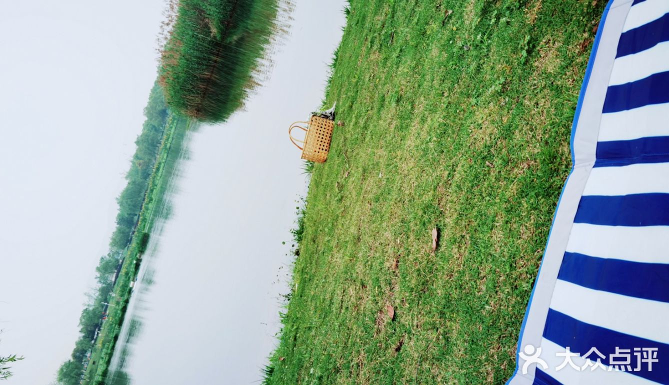 春天怎可不出去野餐煮茶呢？