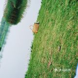 春天怎可不出去野餐煮茶呢？