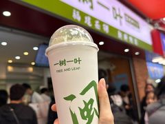 -一树一叶·福建茶档(石鼓路店)