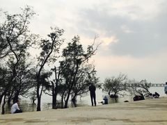 -宝安西湾红树林湿地公园