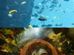 -长鹿旅游休博园