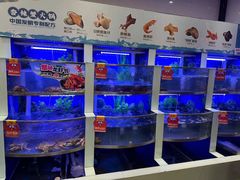 -七欣天香辣蟹火锅(常州丰臣国际广场店)
