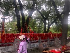 -大槐树寻根祭祖园